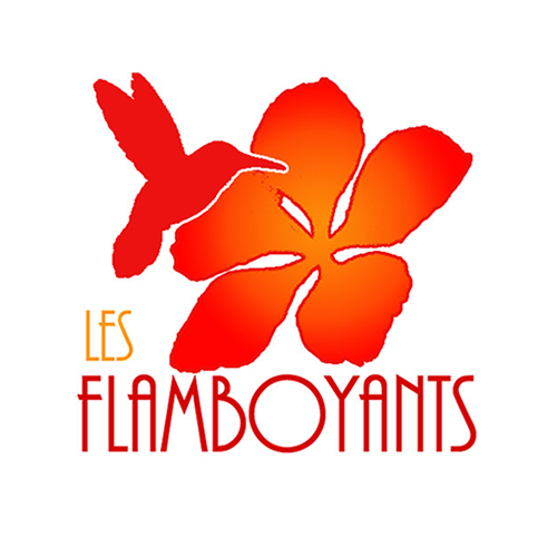 flamboyants du mee pub