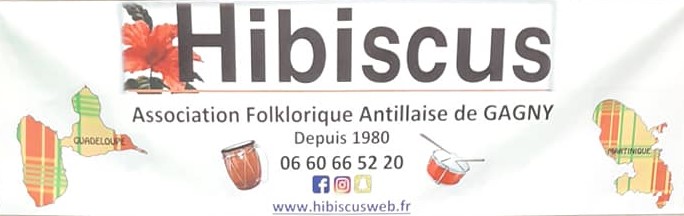 hibiscus livry gargan gagny