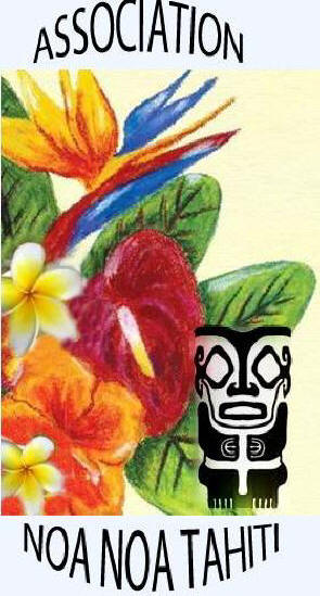 noa noa logo