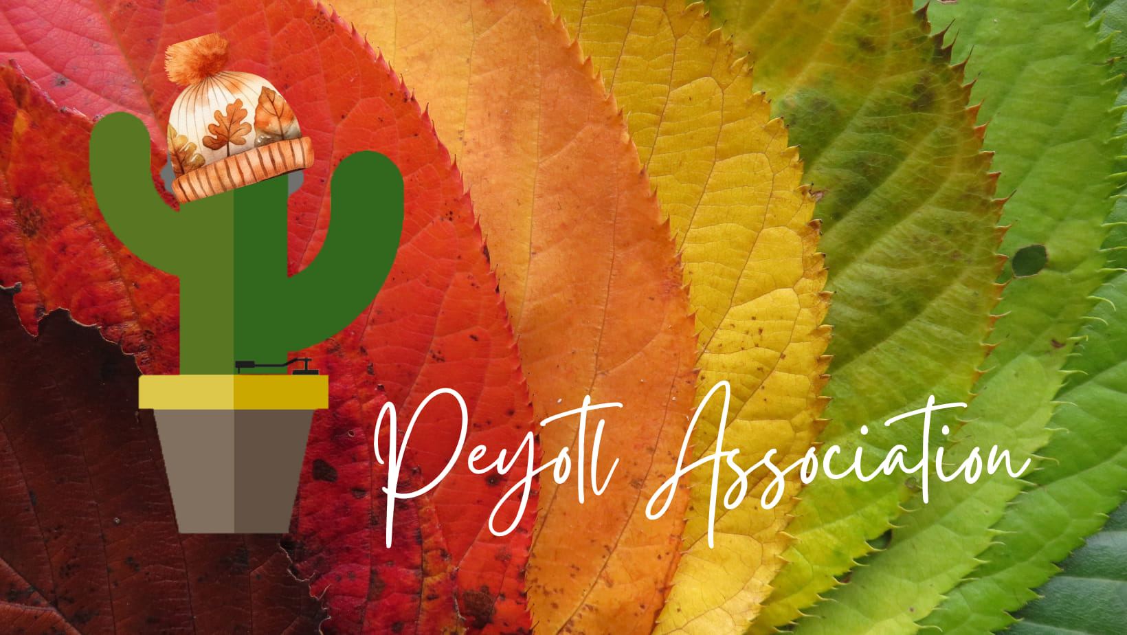 peyotl association le grand lemps 38