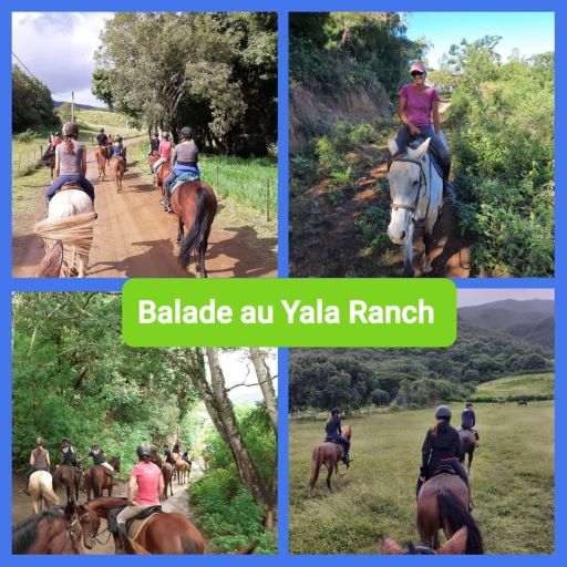 centre equestre yala ranch nc