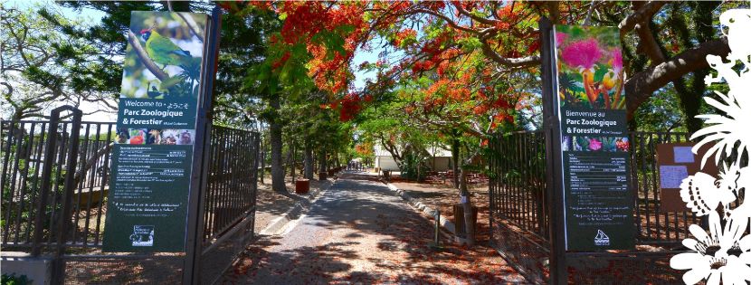 parc zoologique forestier nc