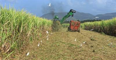 Carte ADONIS sur l&#039;utilisation des pesticides dans les départements d&#039;Outre-mer.