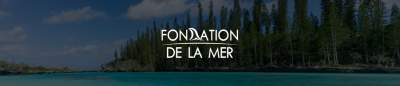 Sauvons la biodiversité marine en Nouvelle-Calédonie !