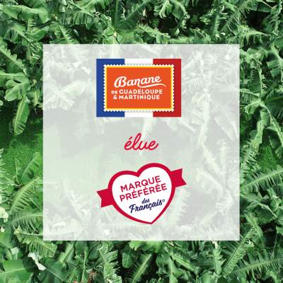 LA BANANE DE GUADELOUPE &amp; MARTINIQUE  EST &Eacute;LUE MARQUE PR&Eacute;F&Eacute;R&Eacute;E DES FRAN&Ccedil;AIS   DANS LA CAT&Eacute;GORIE &laquo; MARQUES DE BANANES &raquo;
