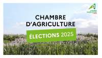 Les 3 listes pour les élections à la la Chambre d'agriculture de la Réunion qui auront lieu en janvier 2025.