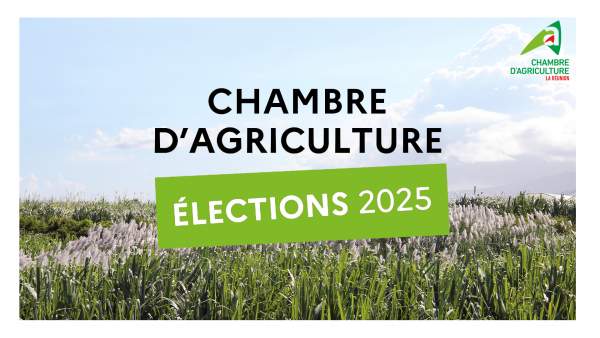 Les 3 listes pour les élections à la la Chambre d