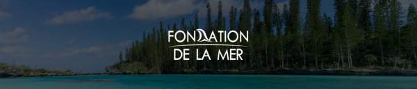 Sauvons la biodiversité marine en Nouvelle-Calédonie !