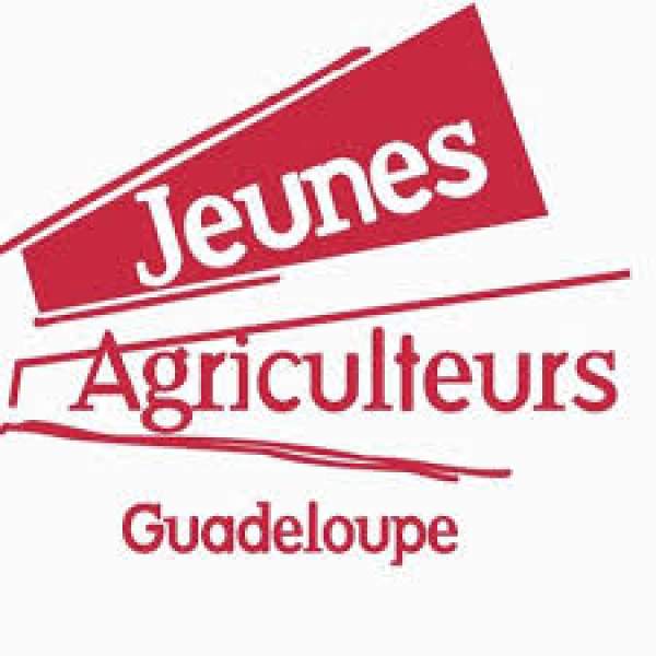 La liste JA FNSEA 971 se présente aux élections de la Chambre de la Guadeloupe